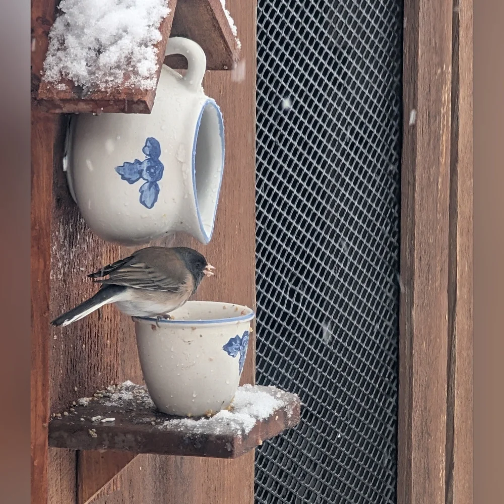 Rustic Wooden Handmade Bird Feeder Penguin With The Birds